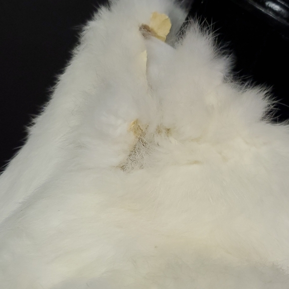 BEBE winter coat - Picture 4 of 5